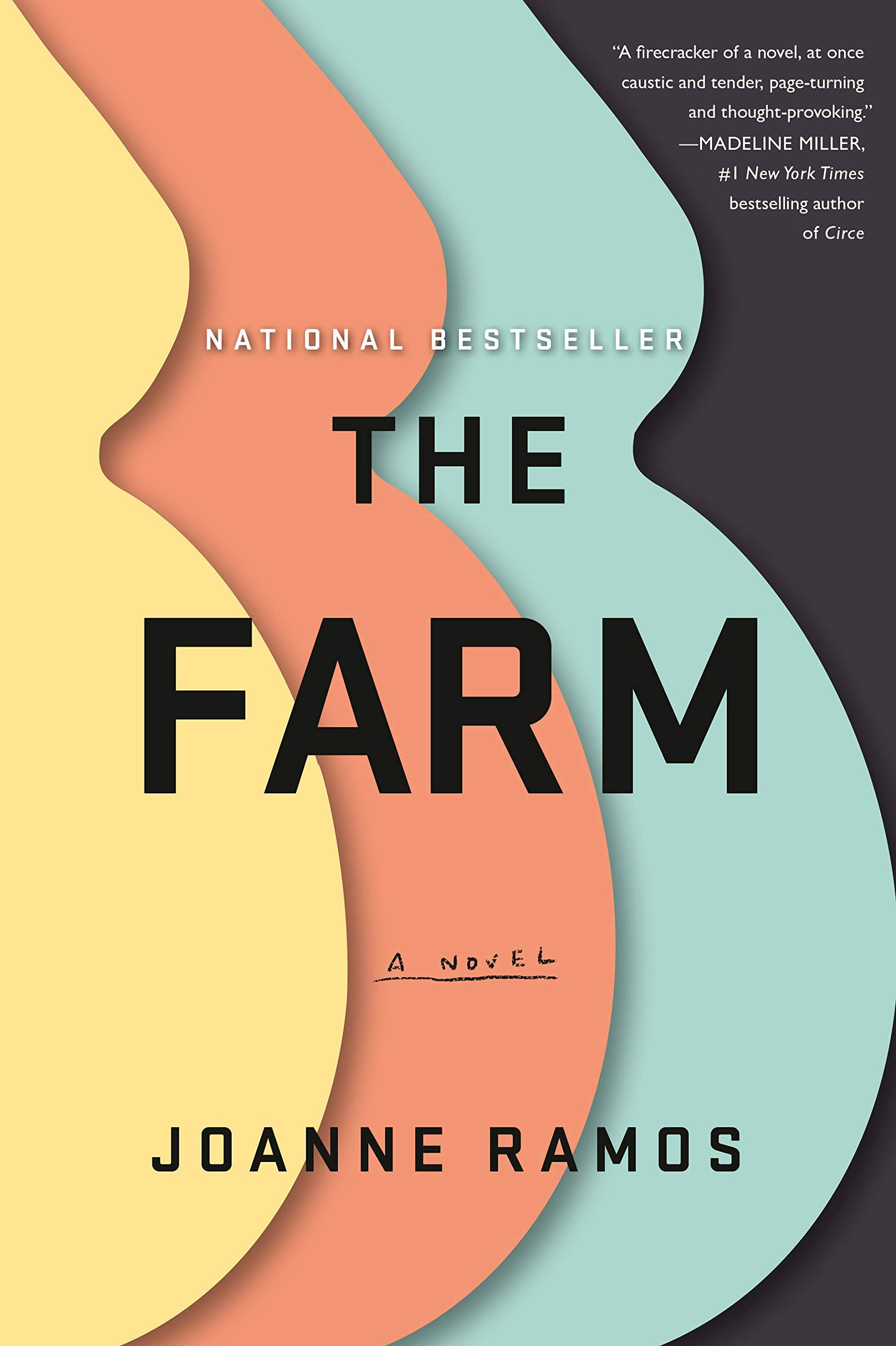 "The Farm" book cover featuring the overlapping abstracted shapes of three pregnant women.
